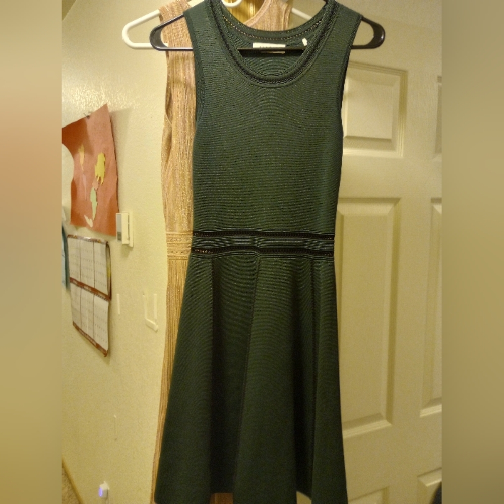 Beautiful Sandro forest green dress and cardigan, size 1, US S, EUC